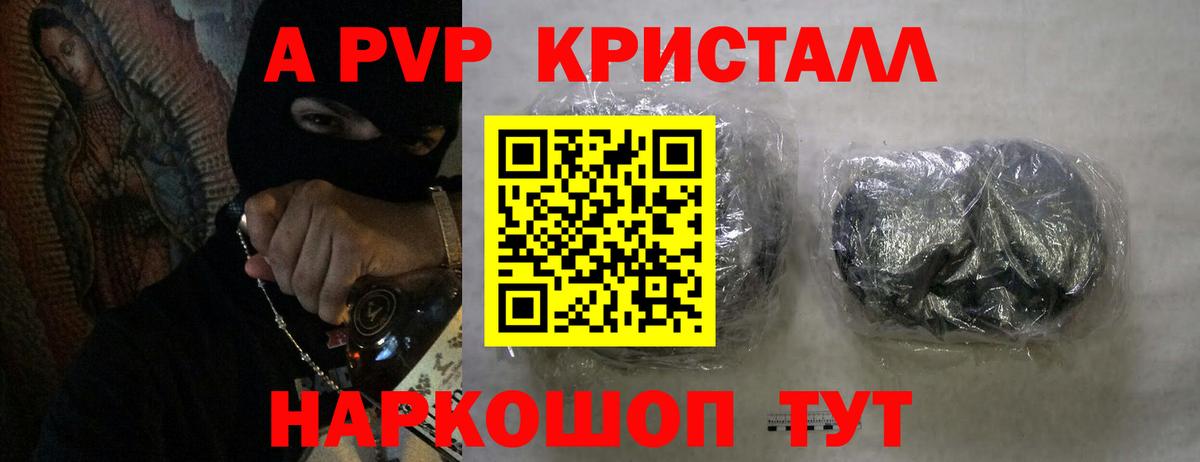 A PVP СК КРИС Михайловск