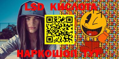 крисы Шахты
