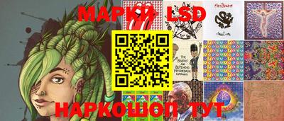 крисы Шахты