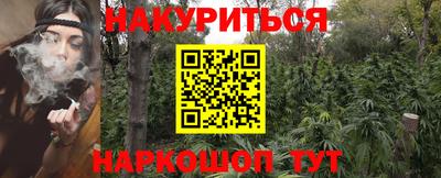 стаф Шебекино