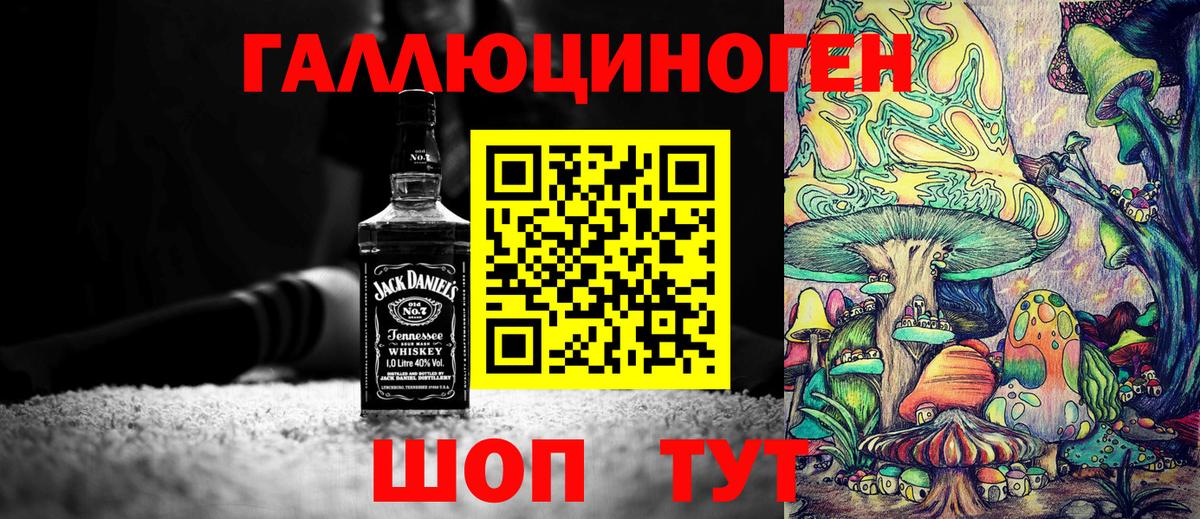 Галлюциногенные грибы Psilocybine cubensis  Вход с VPN  Михайловск 